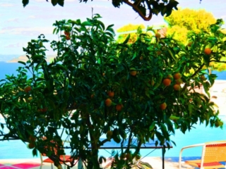 20141018_141743_Richtone(HDR)