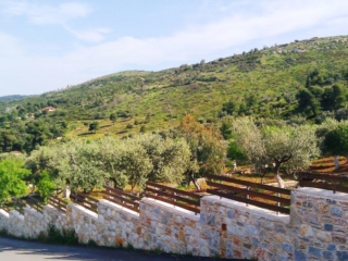 konaki landscape