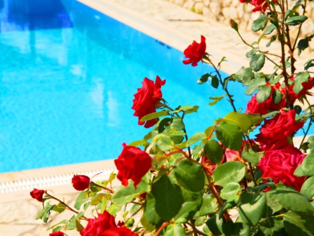 lefkada villas flower pool